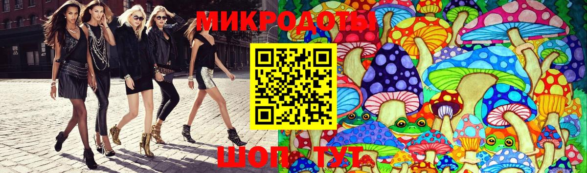 Кизляр  Галлюциногенные грибы Cubensis  Вход с VPN 